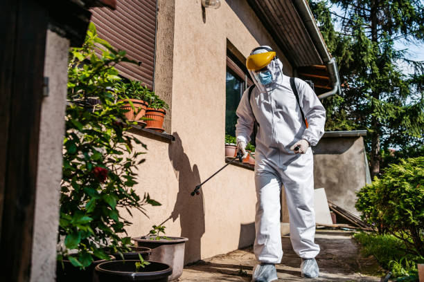 Best Wasp Removal Services  in Banner Elk, NC