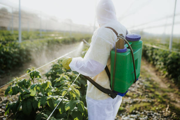 Best Bed Bug Extermination  in Banner Elk, NC